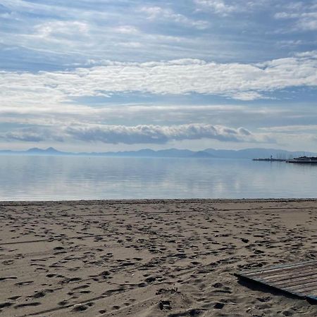 Charming Beachfront Apartment 木尔西亚 外观 照片